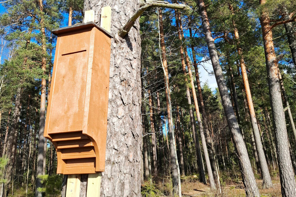 Mulmholk Kumla kommun