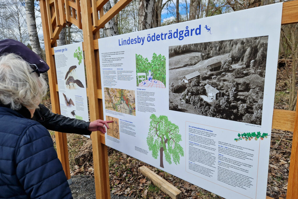 lindesby-Ödeträdgård