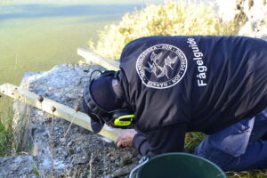 Närkes Ornitologiska Förening monterar holk för Berguv