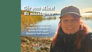 Måna sipinen, Hopajolas första månadsgivare