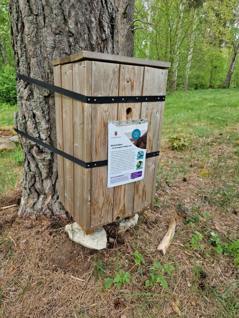 Mulmholk i Kvarntorp