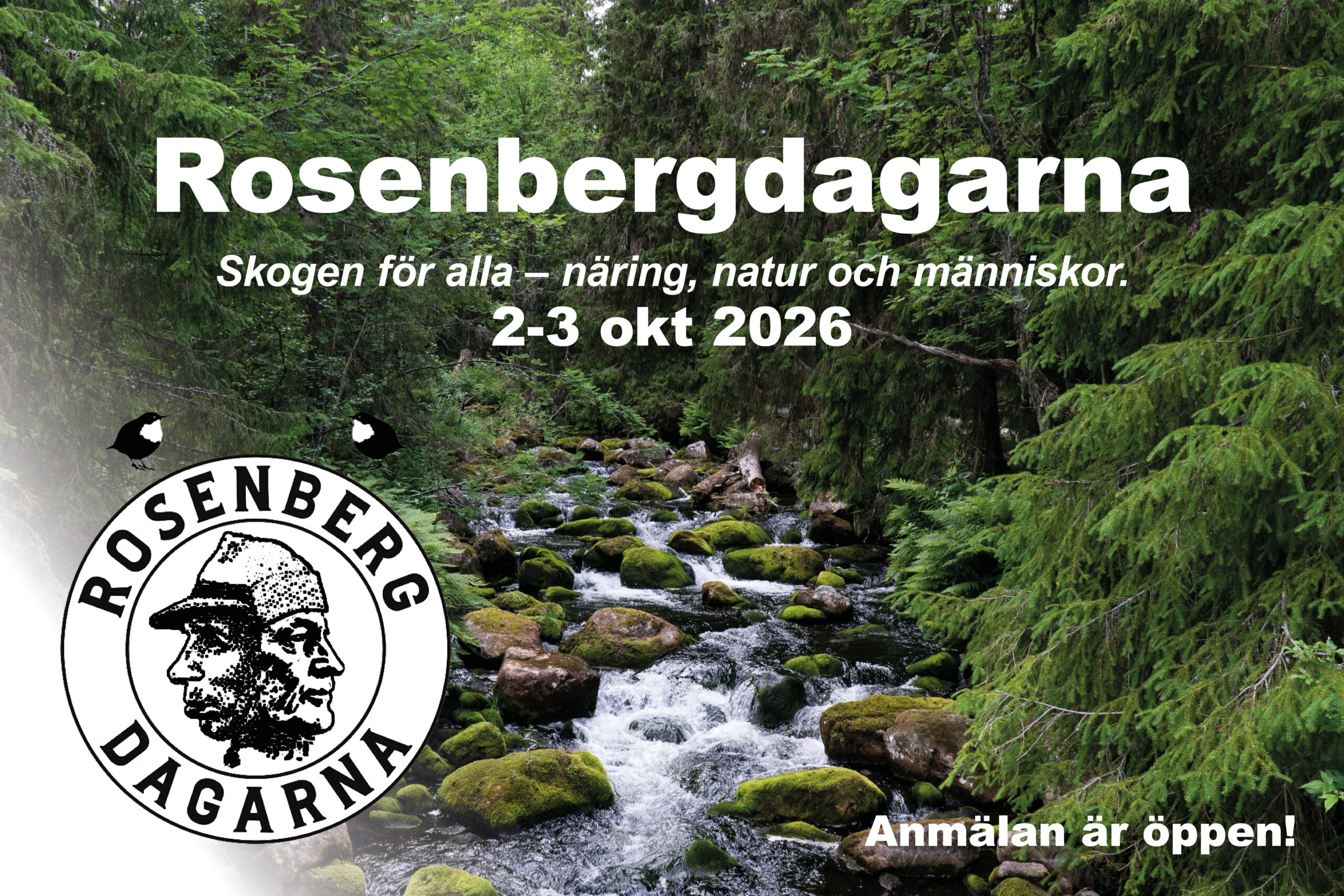 Rosenbergdagarna 1
