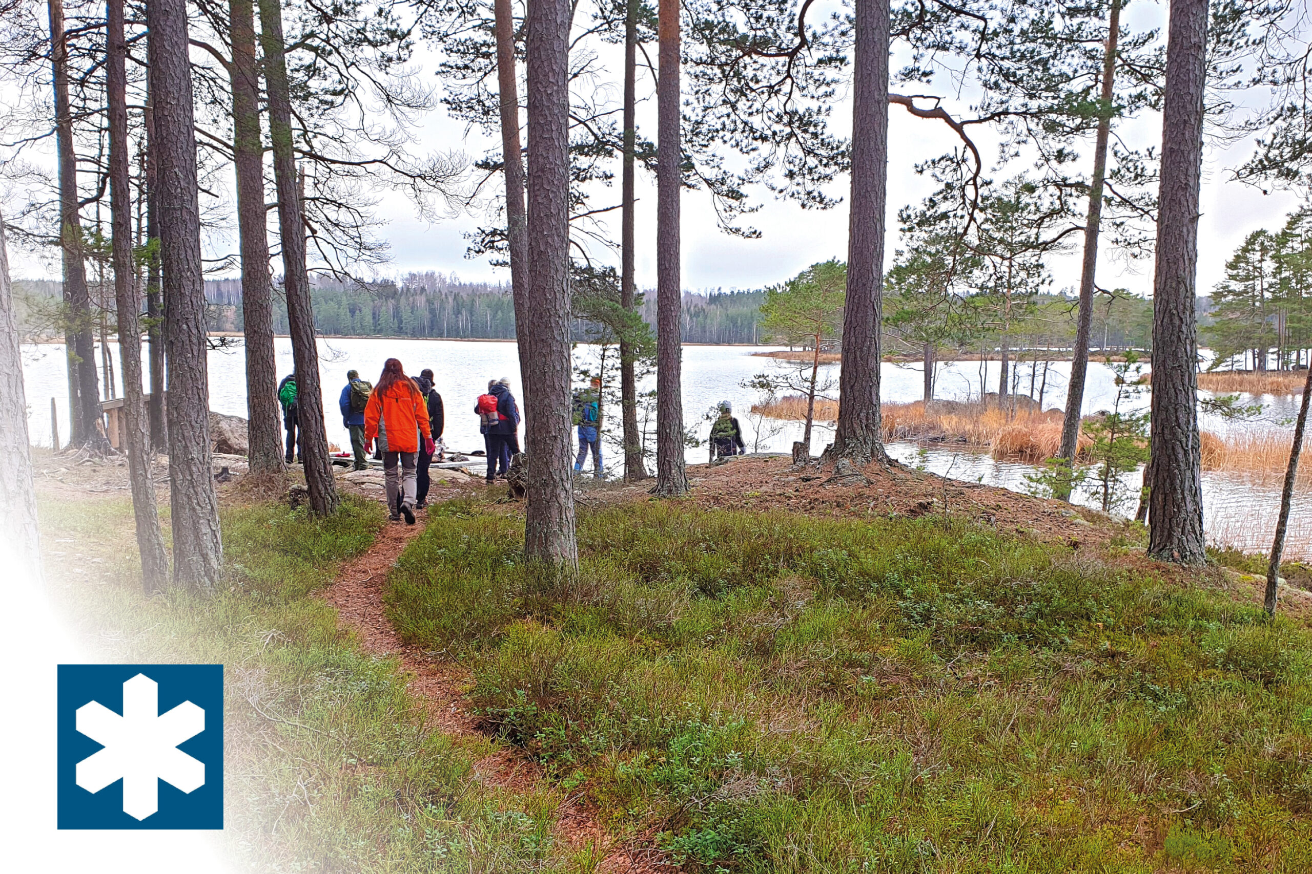 Hjärtasjön