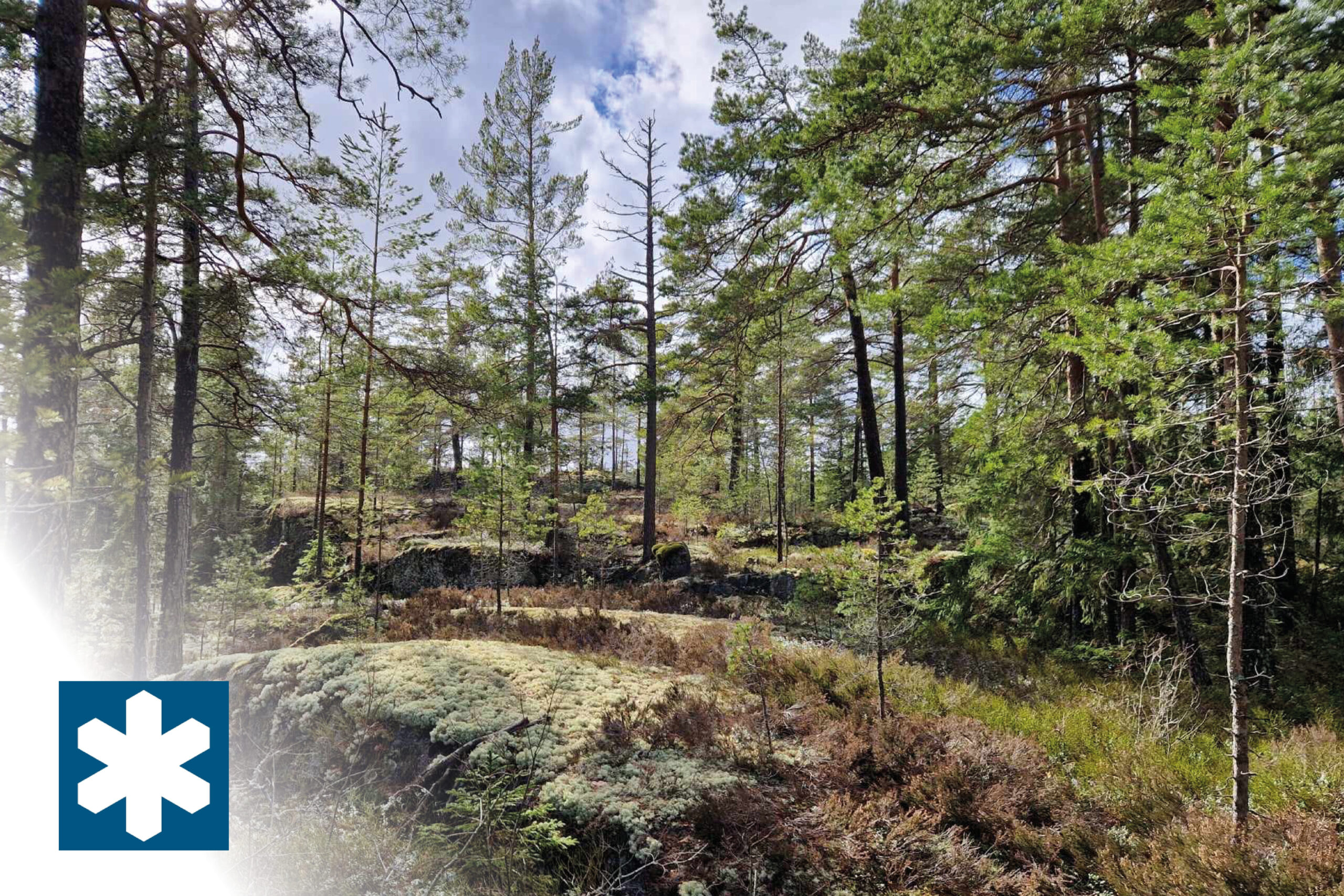 kilsbergsdagen